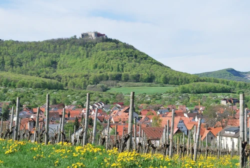 Ein Bild aus beuren 72660 - 1