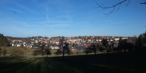 Ein Bild aus bitz 72475 - 1