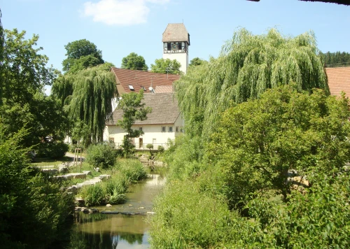 Ein Bild aus dautmergen 72356 - 1