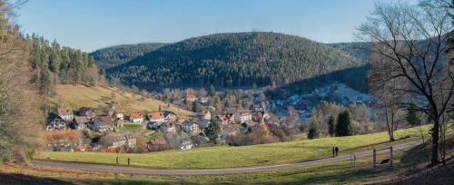 Ein Bild aus enzkloesterle 75337 - 1