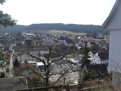 Ein Bild aus rohrdorf 72229 - 1
