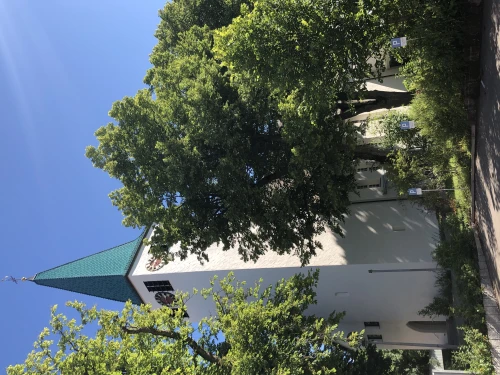 Ein Bild aus winterlingen 72474 - 1