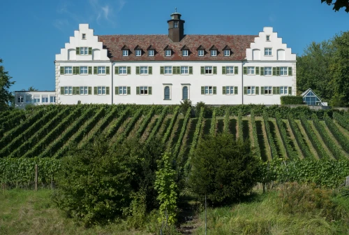 Ein Bild aus immenstaad-am-bodensee 88090 - 1