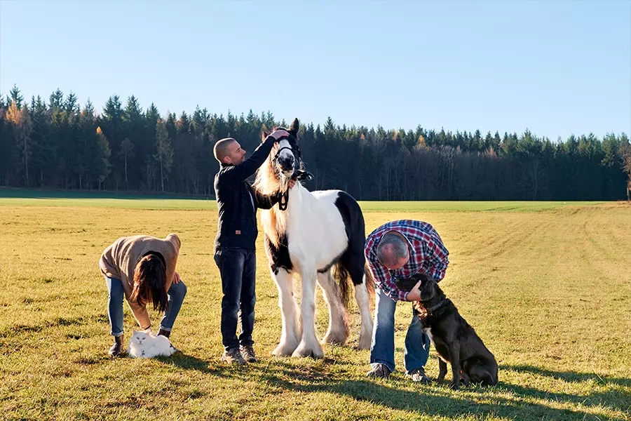 tierbestattung_albstadt2