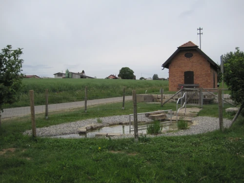 Ein Bild aus altdorf 72655 - 1