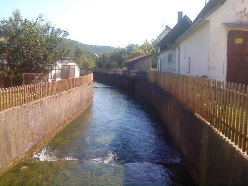 Ein Bild aus neufra 72419 - 1