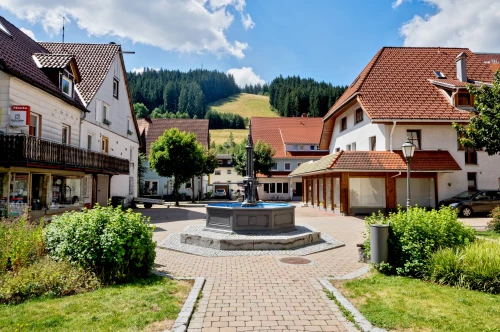 Ein Bild aus voehrenbach 78147 - 1