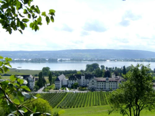 Ein Bild aus allensbach 78476 - 1
