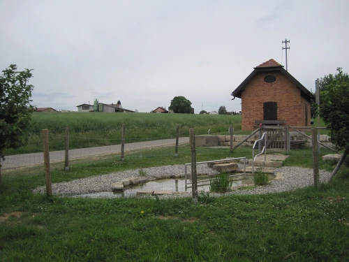 Ein Bild aus altdorf 72655 - 1