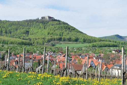 Ein Bild aus beuren 72660 - 1
