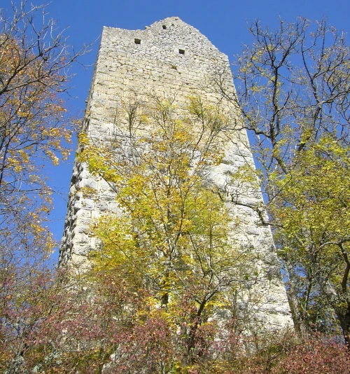 Ein Bild aus buchheim 88637 - 1