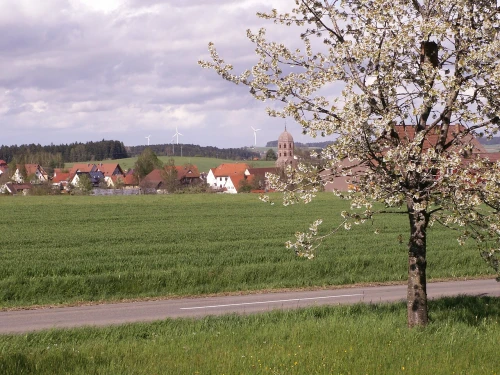 Ein Bild aus eschbronn 78664 - 1