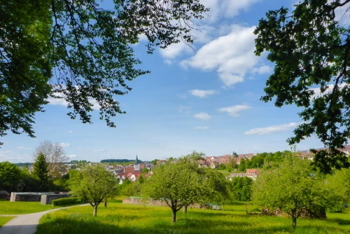 Ein Bild aus grafenau 71120 - 1