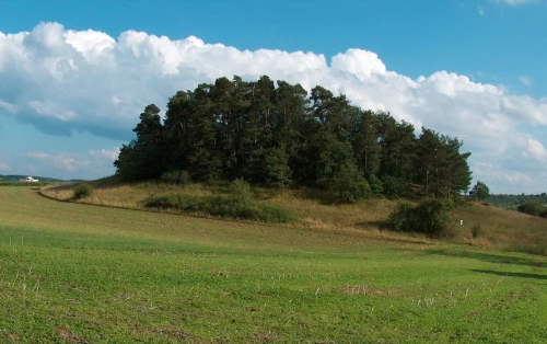 Ein Bild aus magstadt 71106 - 1