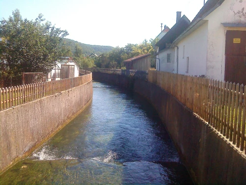 Ein Bild aus neufra 72419 - 1