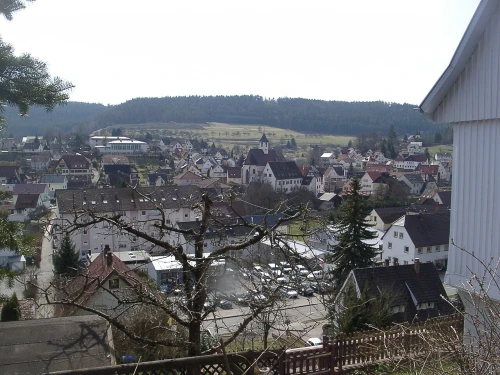 Ein Bild aus rohrdorf 72229 - 1