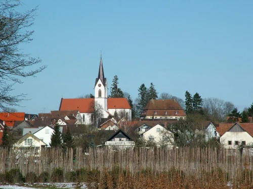 Ein Bild aus steisslingen 78256 - 1