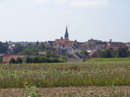 Ein Bild aus tiefenbronn 75233 - 1