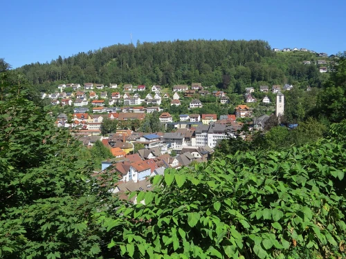 Ein Bild aus triberg-im-schwarzwald 78098 - 1