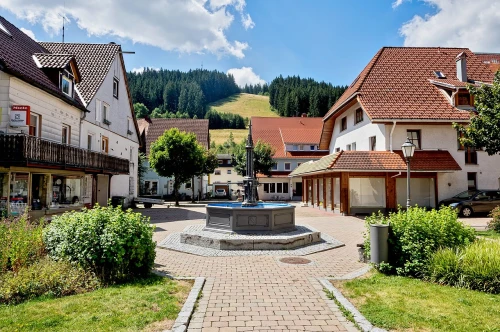 Ein Bild aus voehrenbach 78147 - 1