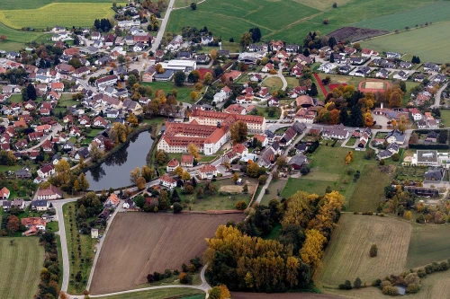 Ein Bild aus wald 88639 - 1