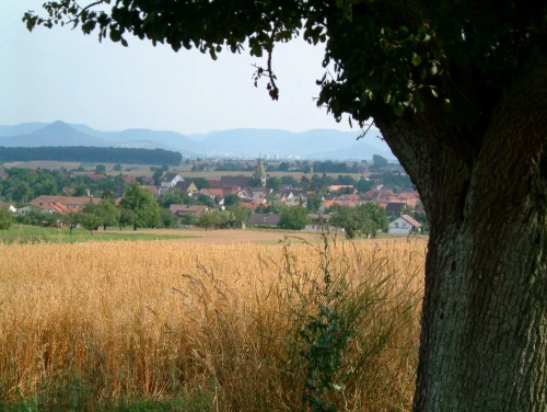 Ein Bild aus walddorfhaeslach 72141 - 1