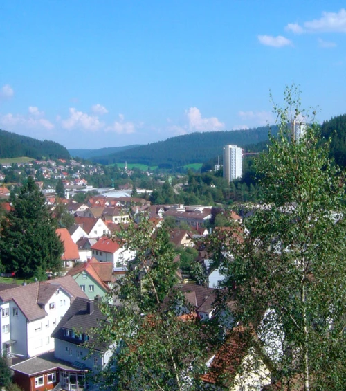 Ein Bild aus furtwangen-im-schwarzwald 78120 - 1