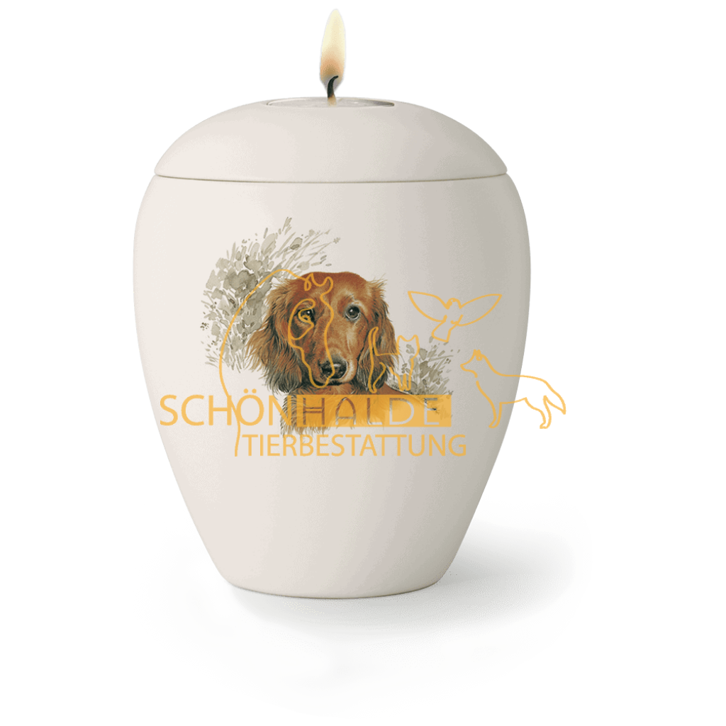 Schönhalde Tierbestattung - Tierurne 65-500-21L