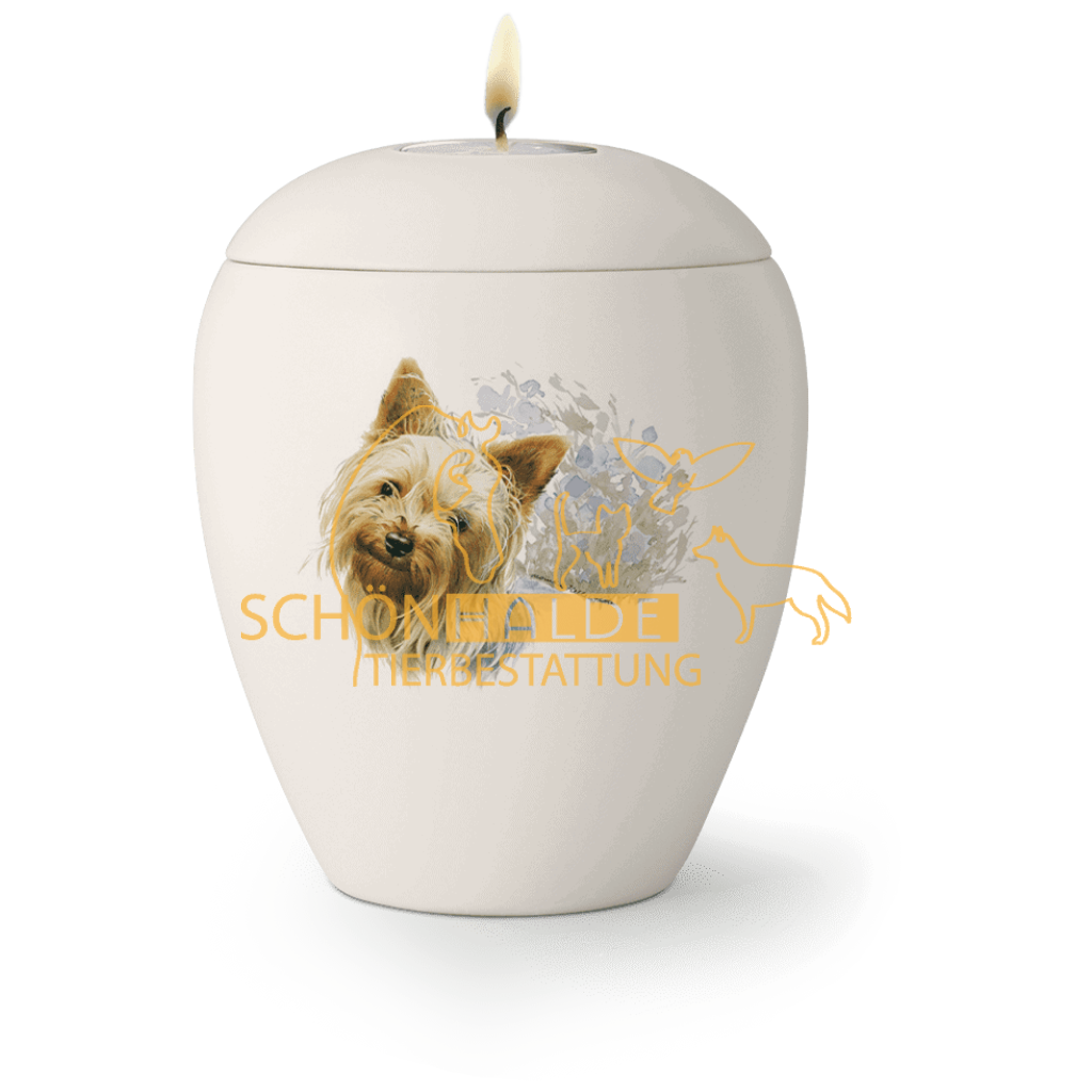 Schönhalde Tierbestattung - Tierurne 65-500-22L