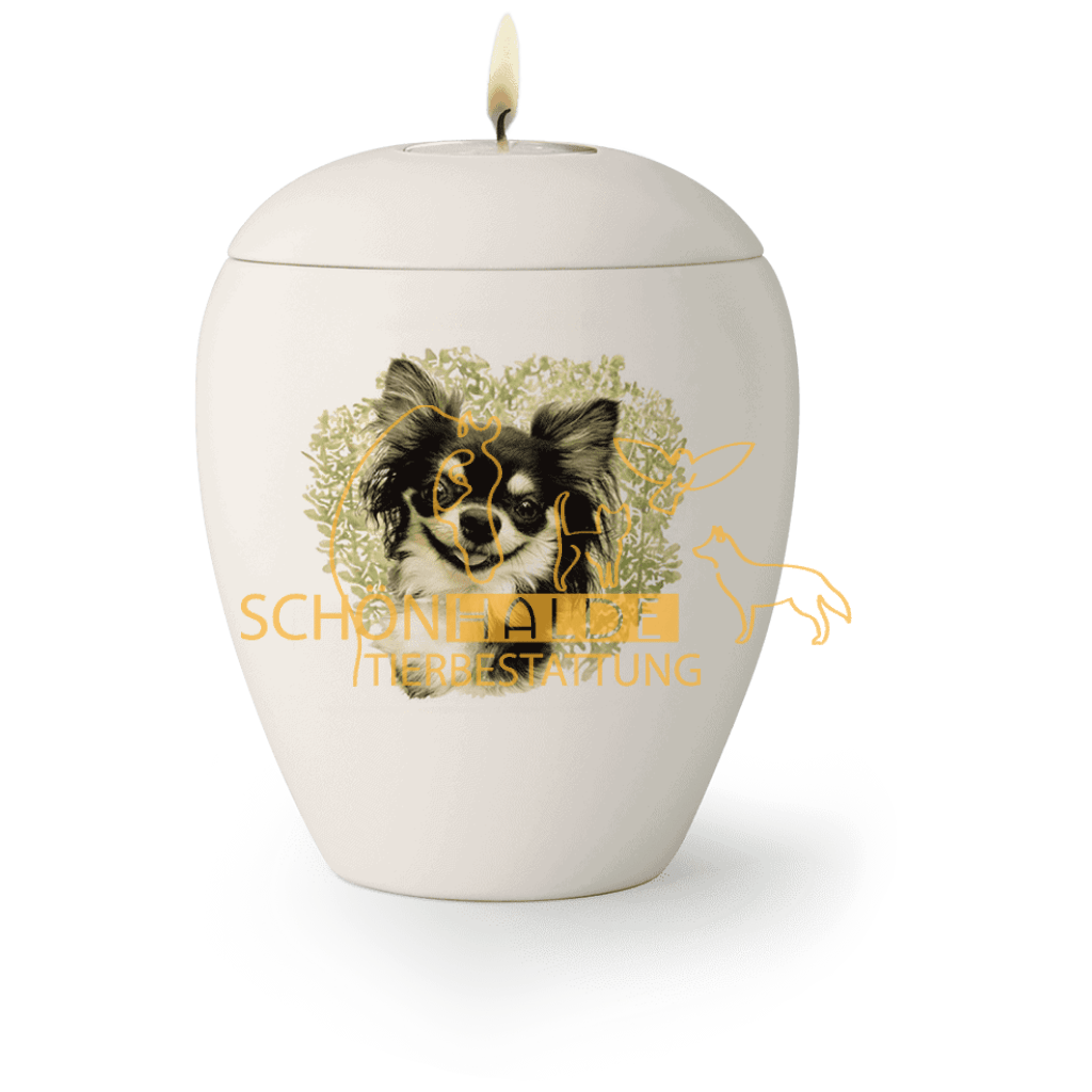 Schönhalde Tierbestattung - Tierurne 65-500-63L