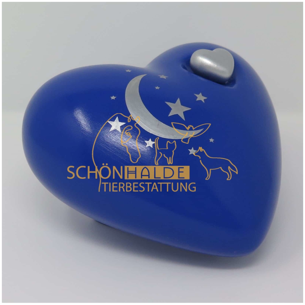 Herzurne Mond Sterne in Cyan