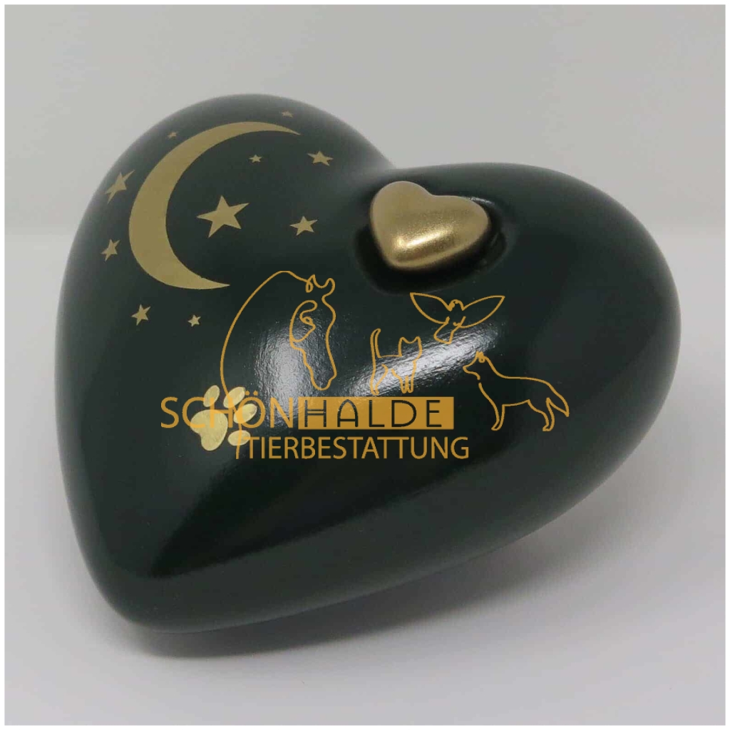 Herzurne Mond Sterne mit Pfote in Dunkelgruen