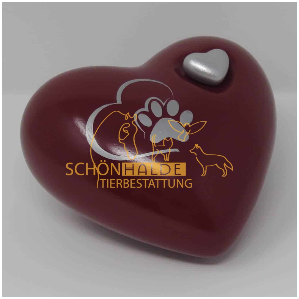 Herzurne Pfoetchenschleife in Darkrot