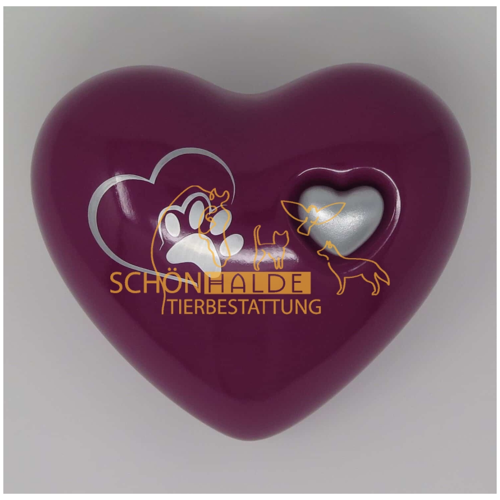 Herzurne Pfoetchenschleife in Magenta