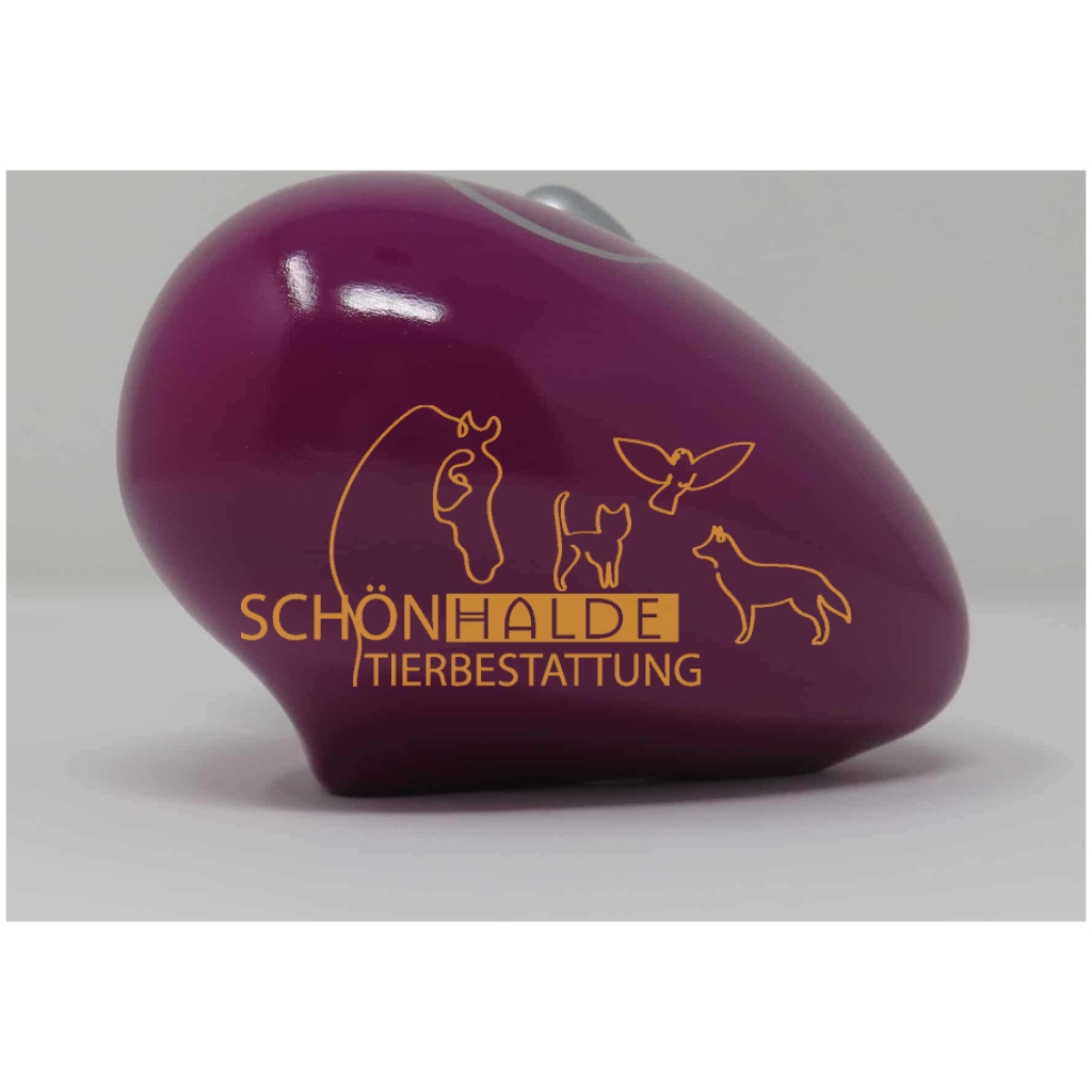 Herzurne Pfoetchenschleife in Magenta