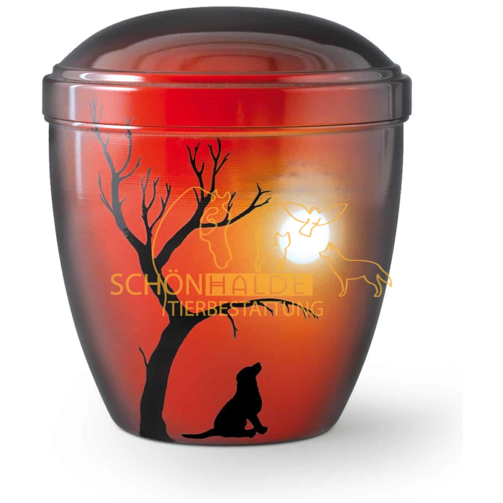 Schönhalde Tierbestattung Albstadt Tierkrematorium 551310 HU