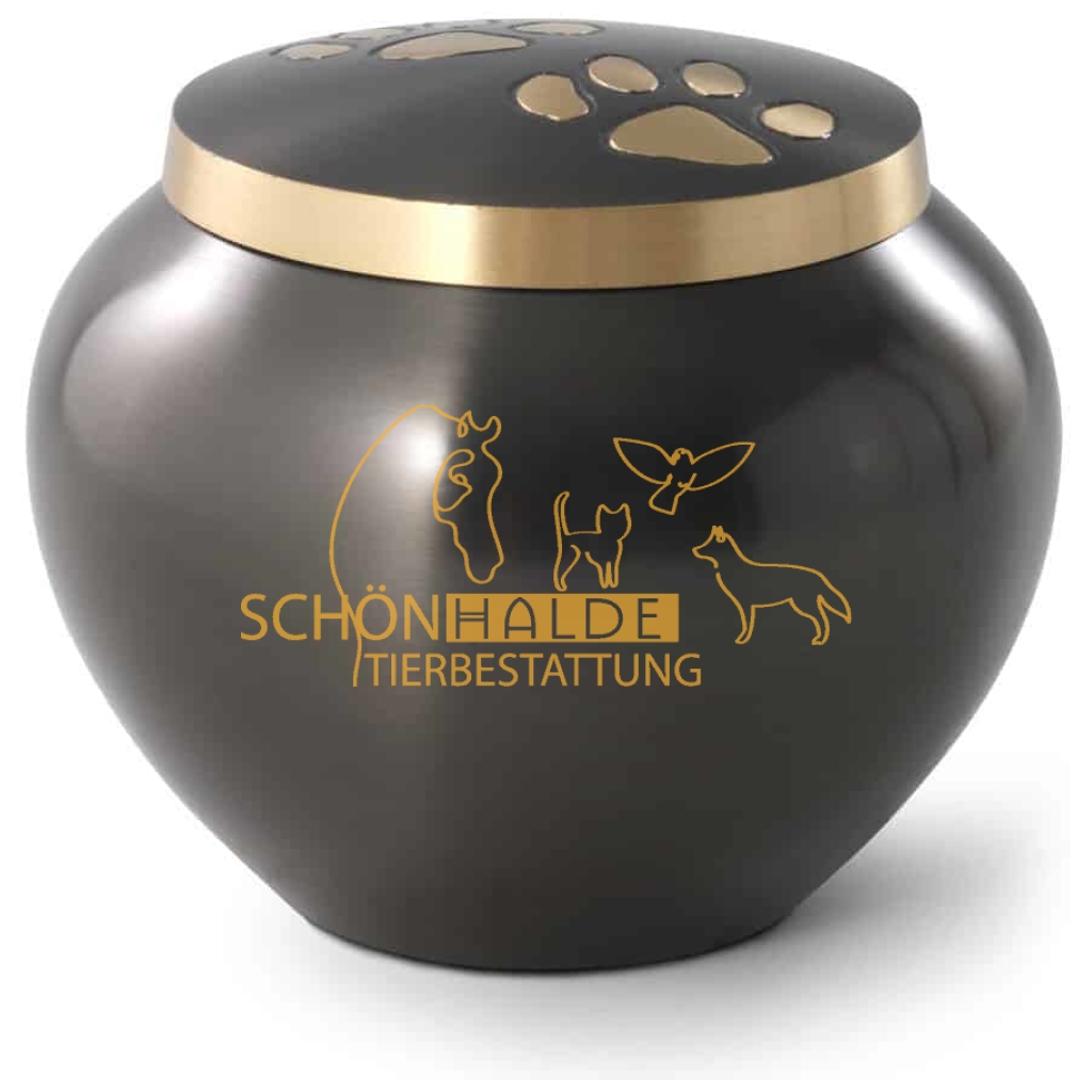 goldener handschuh wm 2018 BESPORTBLE Goldene Torwart-Trophäe Aus Kunstharz – Pokal Für Fußball-Wettbewerbe Und Ideales Souvenir Und Für Fans Und Sportler Sport & Freizeit Rad im Veedel - geeignet-für_Pax Size/Color:Dark Sparkle Black Large