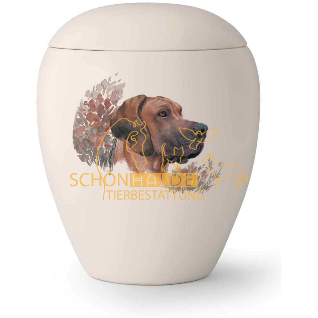 Schönhalde Tierbestattung  Albstadt Tier-Urne 65-2800-59