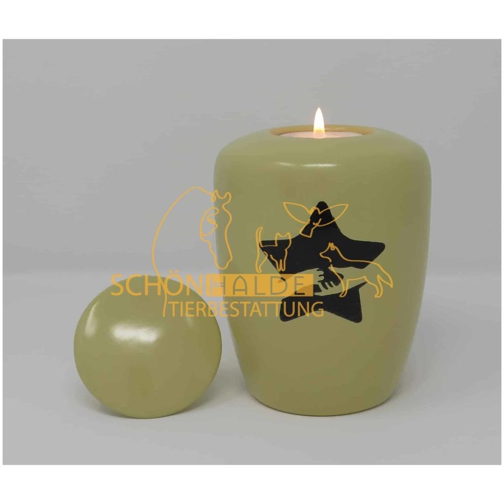 Teelichturne Freundschaft Stern in Creme 1