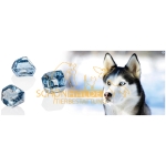 Diamant-Hund