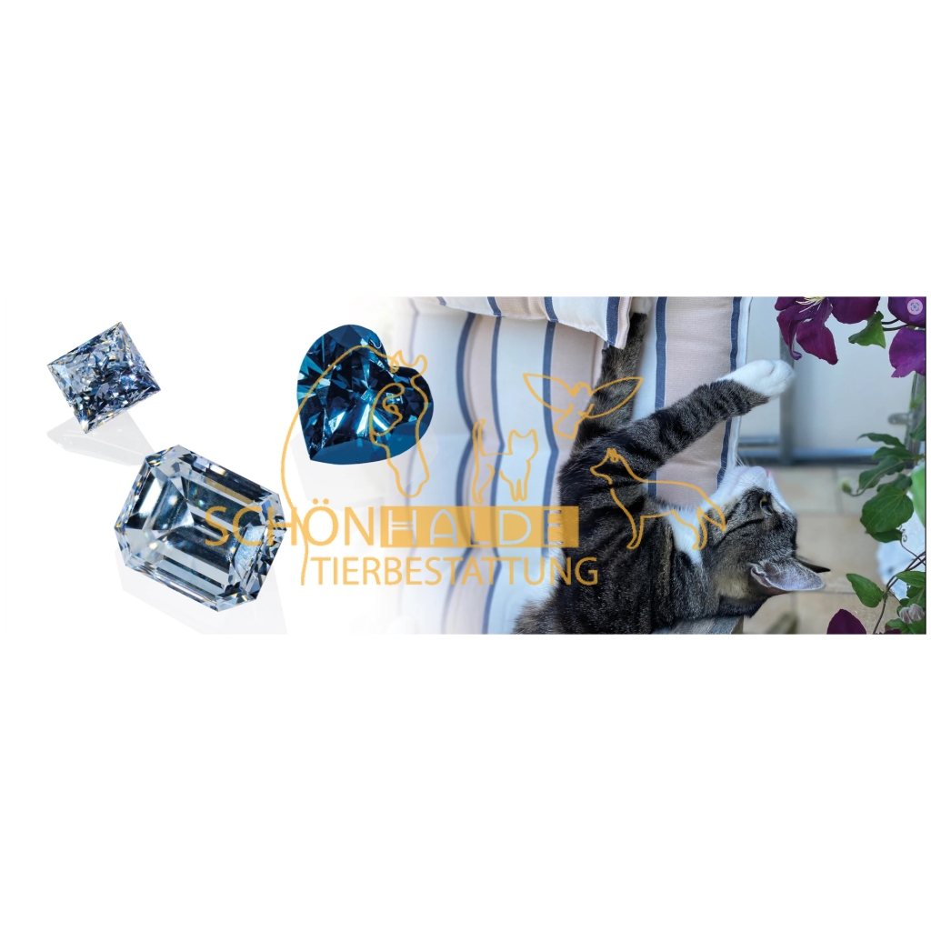 Erinnerungs-Diamant aus der Asche Ihres Tieres - Unikat