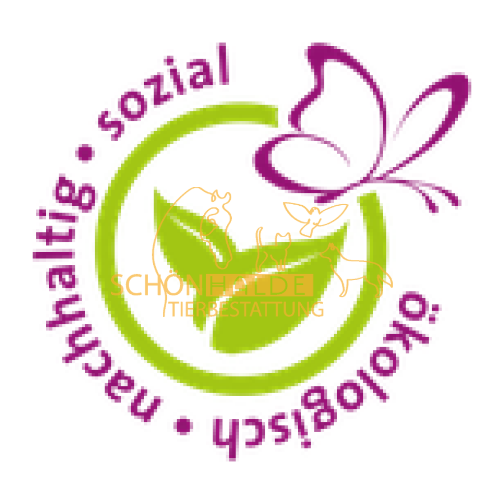 Naturholz Tier-Urne Würfel aus Behindertenwerkstatt