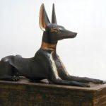 Anubis Hund Tutankhamun_jackal