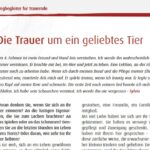 Zeit_der_Trauer_Wegbegleiter_VORSCHAU