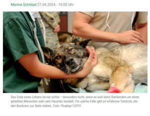 Hund einschläfern die letzte Reise auf dem Arm geborgen