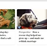 2024-06-25_Washington-Post_MoreOnDogs_0_MAIN
