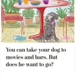 2024-06-25_Washington-Post_MoreOnDogs_10