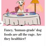 2024-06-25_Washington-Post_MoreOnDogs_11