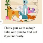 2024-06-25_Washington-Post_MoreOnDogs_3