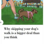 2024-06-25_Washington-Post_MoreOnDogs_5